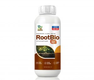 ROOTBIO R01